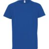 royal-blue