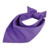 dark-purple