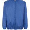 royal-blue
