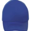 royal-blue