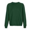 bottle-green