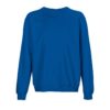 royal-blue