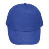 royal-blue