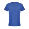 royal-blue