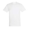 absolute-white