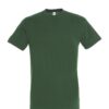 bottle-green