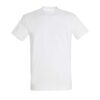 absolute-white