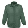 forest-green