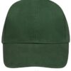 bottle-green
