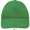 kelly-green