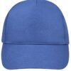 royal-blue