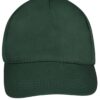 forest-green