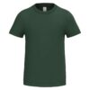 ideal-forest-green