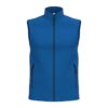ideal-royal-blue