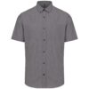 oxford-silver
