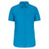 bright-turquoise