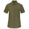 light-khaki