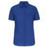 light-royal-blue