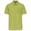 burnt-lime