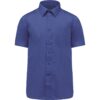 cobalt-blue