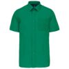 kelly-green
