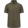 light-khaki