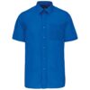 light-royal-blue