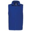 royal-blue