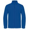 royal-blue