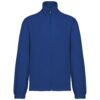 royal-blue