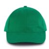 kelly-green-black