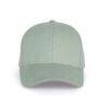 sage-light-grey