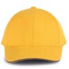 yellow-slate-grey