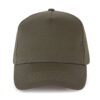 dark-khaki
