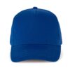 royal-blue