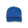 royal-blue