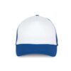 white-royal-blue