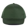 forest-green