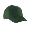 forest-green