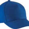royal-blue
