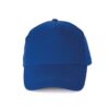 royal-blue