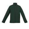 forest-green