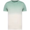 dip-dye-jade-green