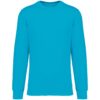 light-turquoise