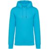 light-turquoise
