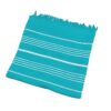 turquoise-white