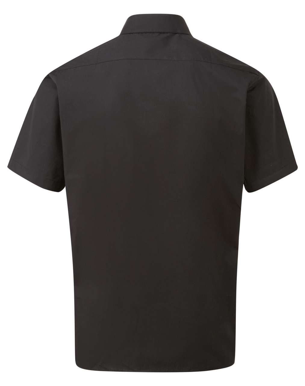 PR202 - Image 2